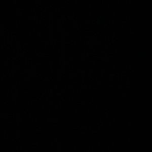 Meet your Posher, Chase